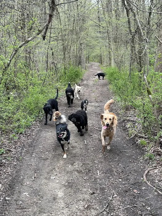 H.H.H Canine Lodge & Ranch Picture 4