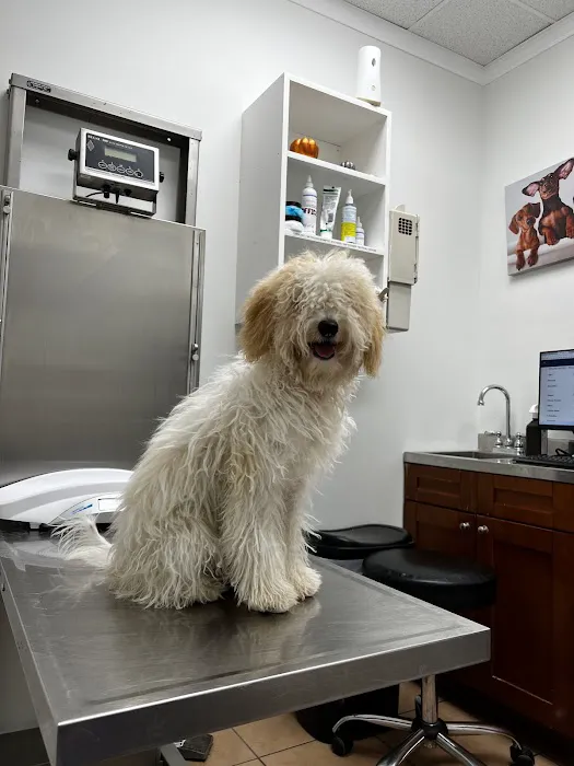 Maspeth Animal Hospital Picture 5