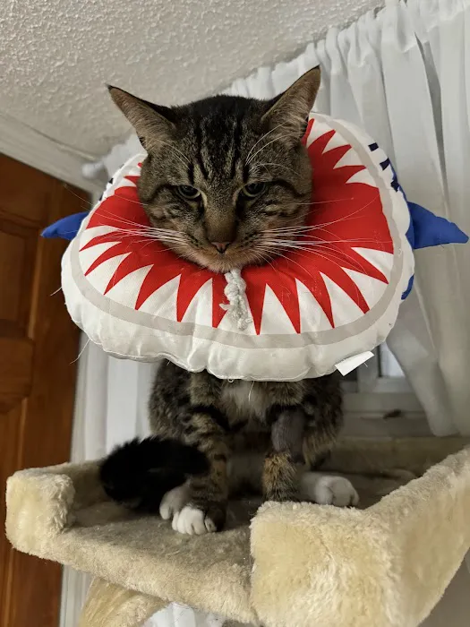 Maspeth Animal Hospital Picture 8