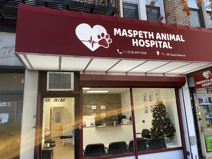 Maspeth Animal Hospital Picture 10