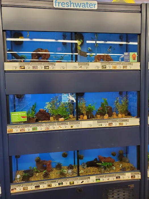 Petco Picture 10