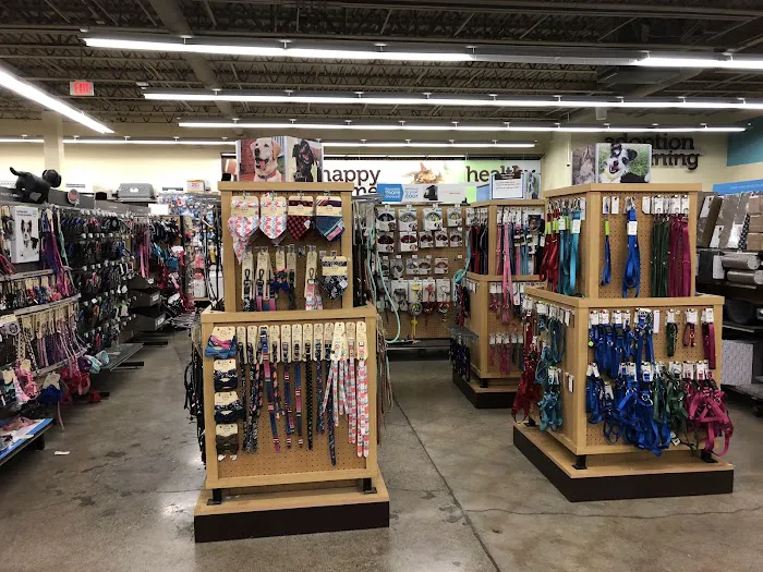 Petco Picture 3