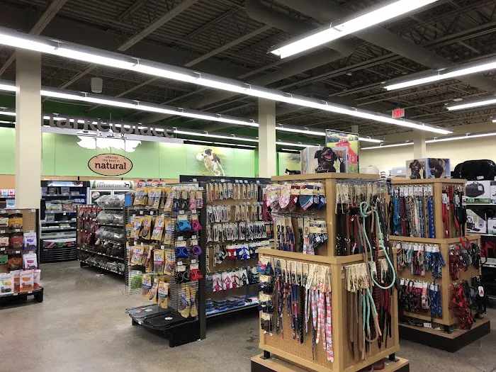 Petco Picture 6