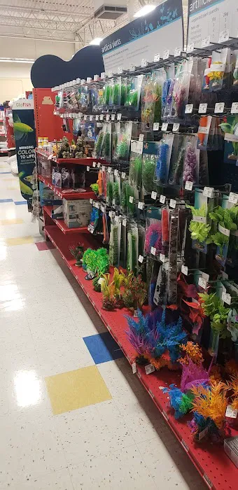 Petco Picture 9