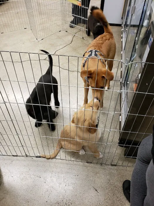 Petco Picture 1