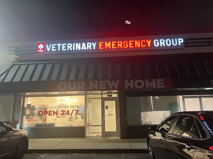 VEG ER for Pets Picture 5