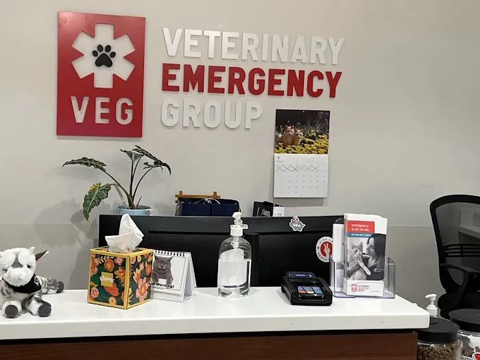VEG ER for Pets Picture 10