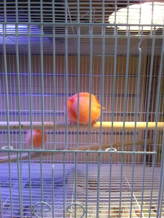 Everything Pets Picture 4
