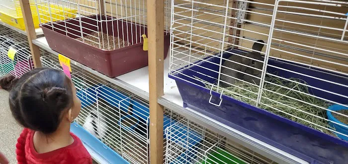 Everything Pets Picture 1