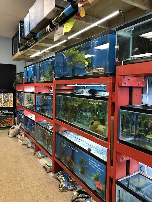 Everything Pets Picture 3