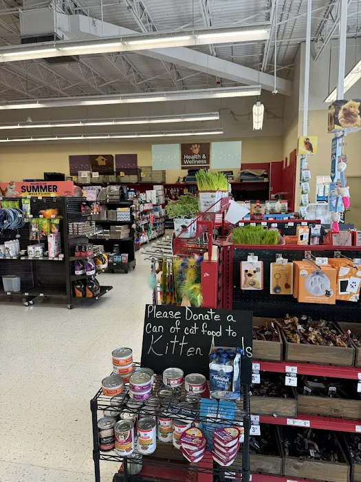Petco Picture 1