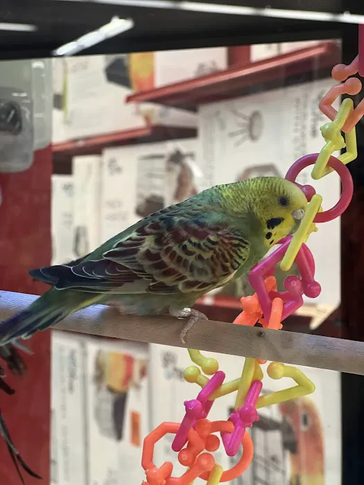 Petco Picture 10