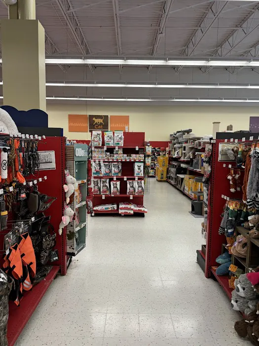 Petco Picture 5