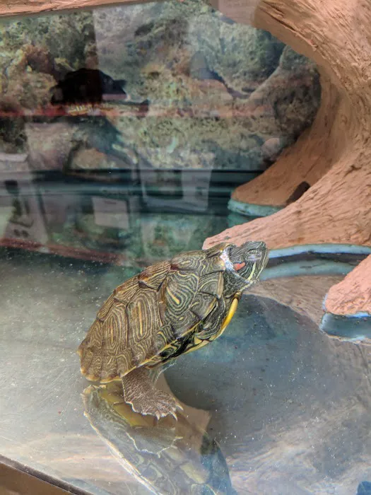 Petco Picture 9