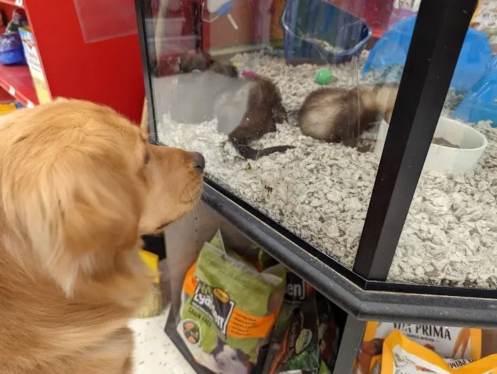 Petco Picture 8