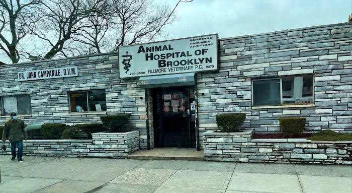 Animal Hospital of Brooklyn Picture 10