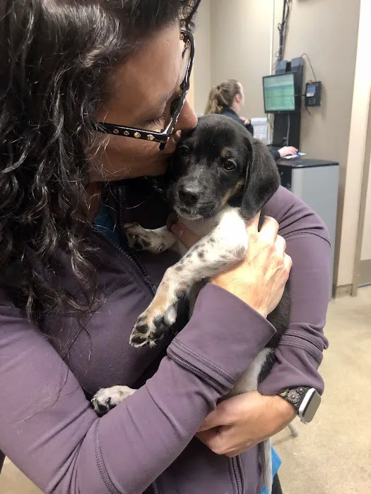 Animal Hospital of Brooklyn Picture 7