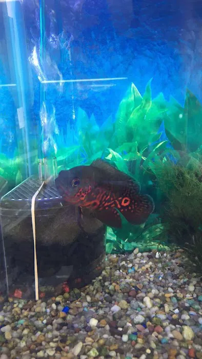 FISH TALES & FUR Picture 1