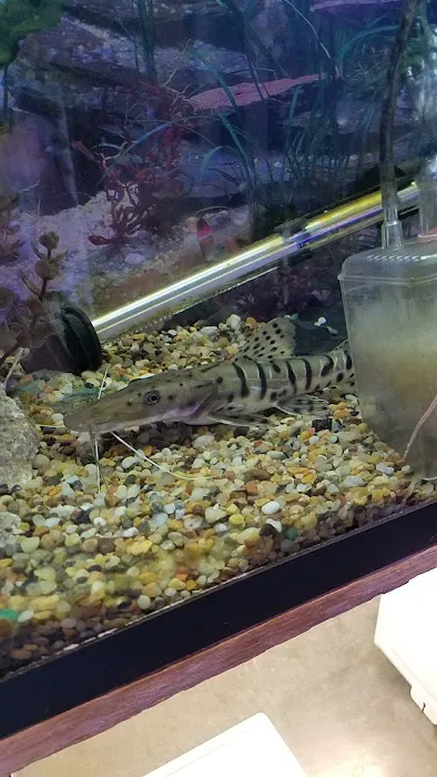 Emmons Tropical Fish & Ponds Picture 4