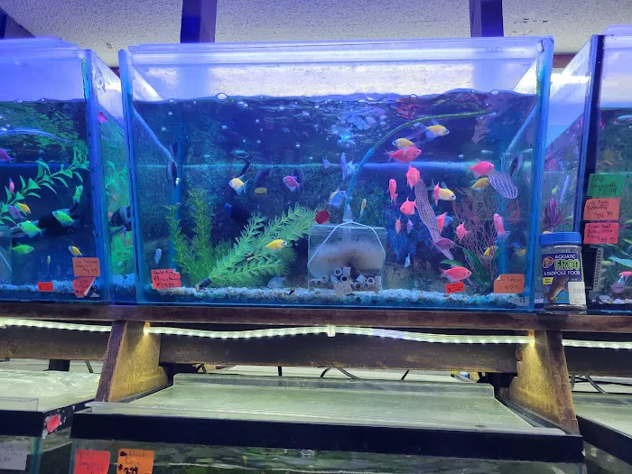 Emmons Tropical Fish & Ponds Picture 2