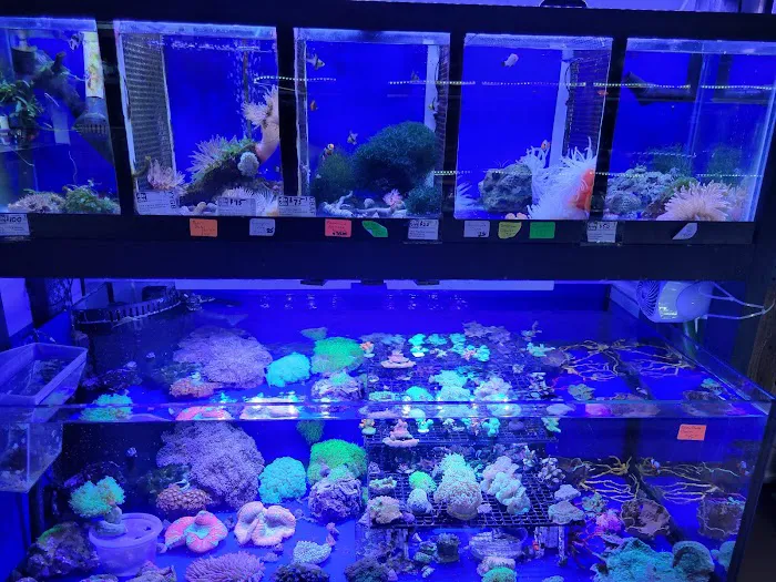 Emmons Tropical Fish & Ponds Picture 1
