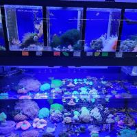 Emmons Tropical Fish & Ponds ico