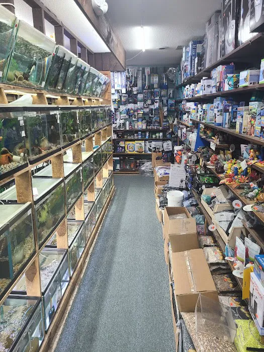 Emmons Tropical Fish & Ponds Picture 9