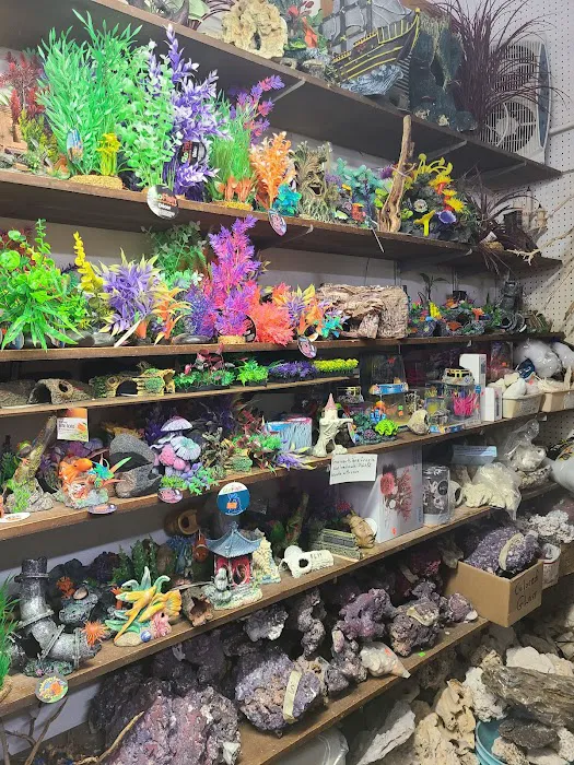 Emmons Tropical Fish & Ponds Picture 10