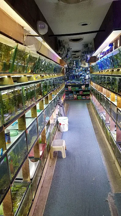 Emmons Tropical Fish & Ponds Picture 6