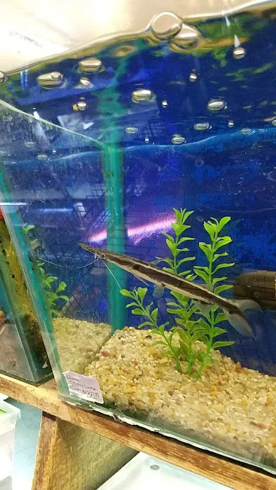 Emmons Tropical Fish & Ponds Picture 5