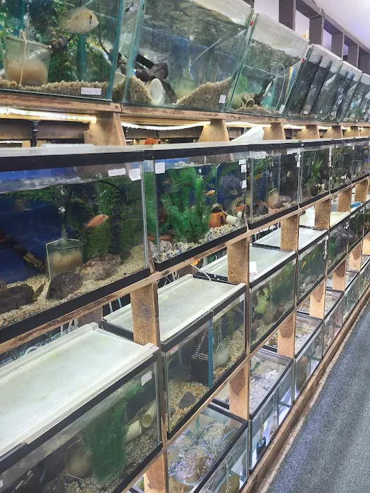 Emmons Tropical Fish & Ponds Picture 7