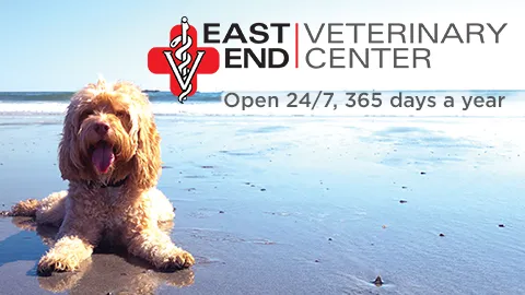 East End Veterinary Center Picture 2