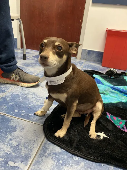 East End Veterinary Center Picture 3