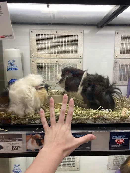 Petco Picture 3