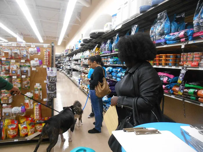 Petco Picture 5