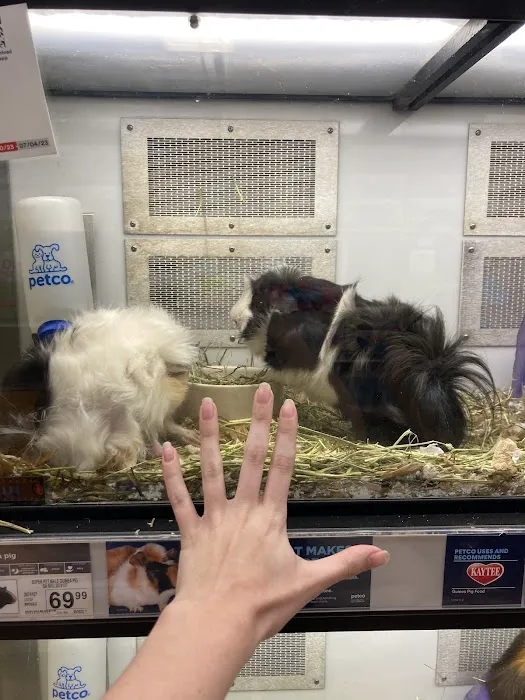 Petco Picture 1