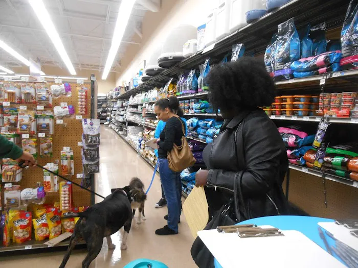 Petco Picture 2