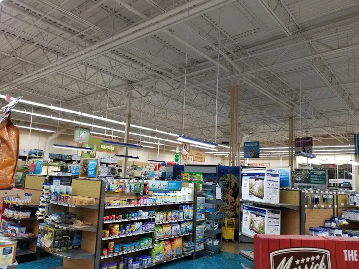 Petco Picture 8