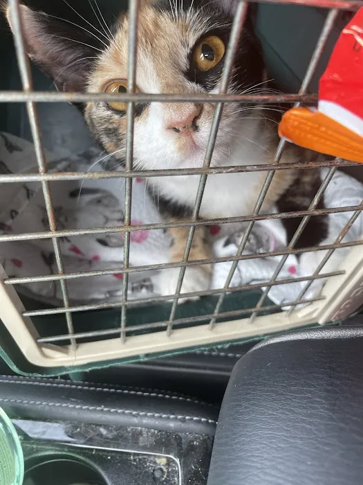 Vetco Total Care Animal Hospital Picture 5