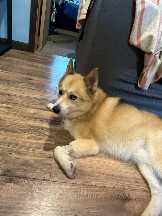 Vetco Total Care Animal Hospital Picture 4