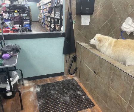 Choice Pet - Guilford