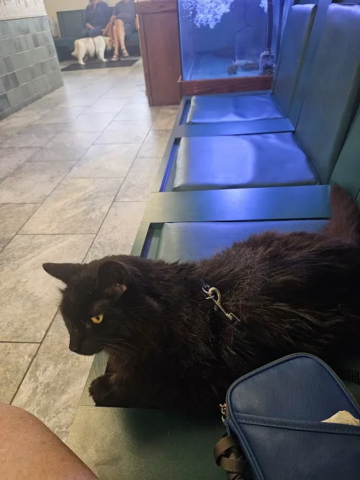Hampton Veterinary Hospital Picture 4