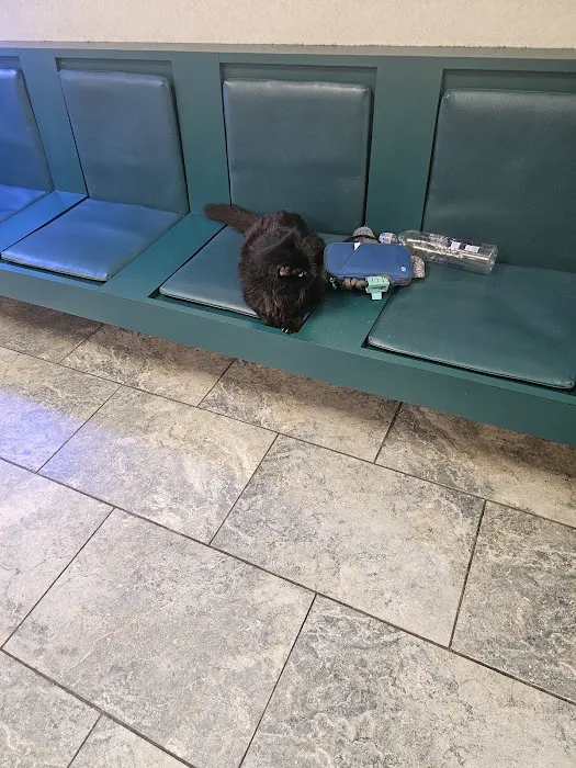 Hampton Veterinary Hospital Picture 5