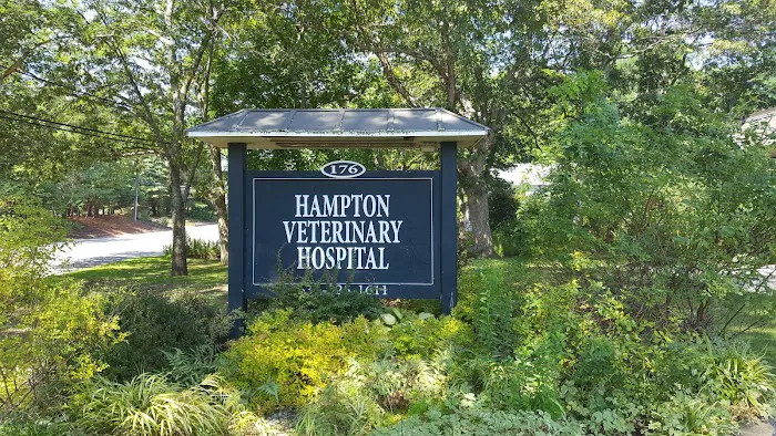 Hampton Veterinary Hospital Picture 8