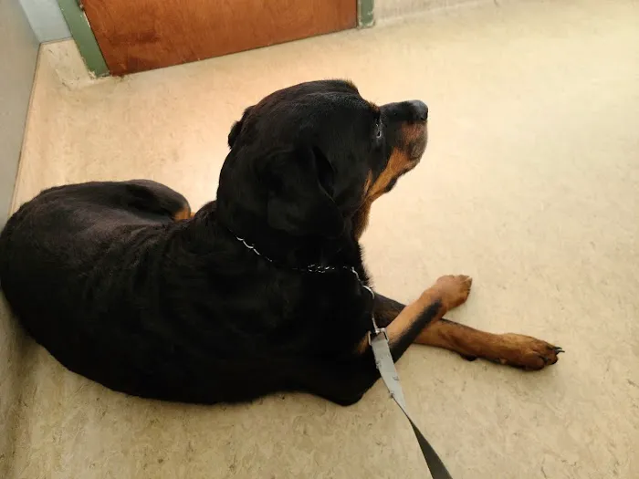 Hampton Veterinary Hospital Picture 1
