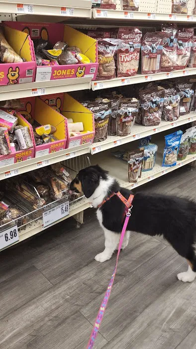 Pet Supplies Plus Manchester Picture 7