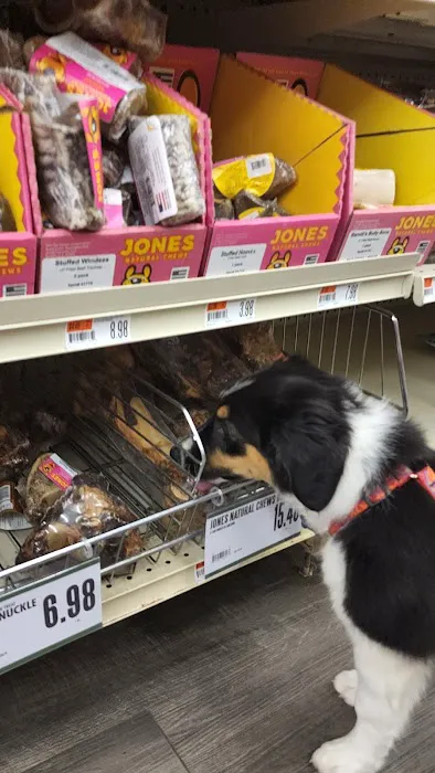 Pet Supplies Plus Manchester Picture 6
