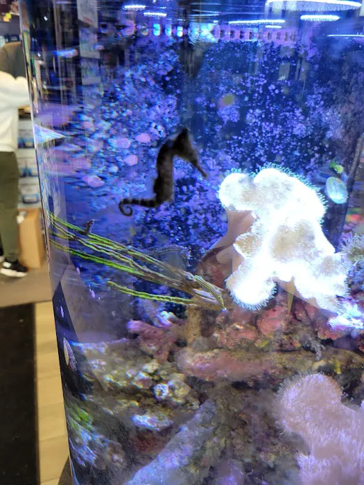 Aquatic Wildlife Co Picture 5