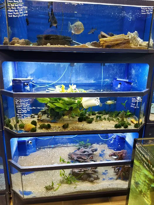 Aquatic Wildlife Co Picture 3