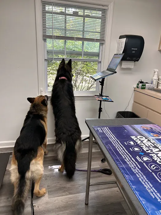 Bideawee Animal Hospital Picture 8